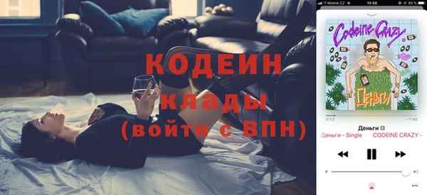 спиды Пересвет