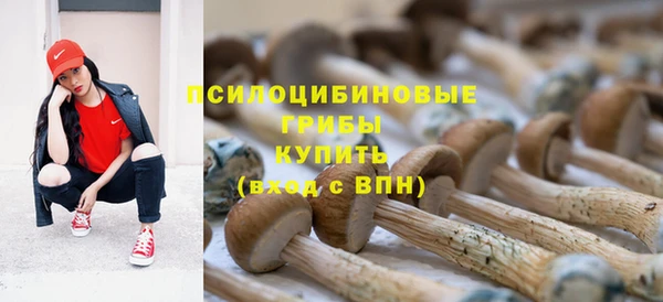 стафф Пестово
