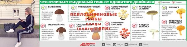 мдпв Переславль-Залесский