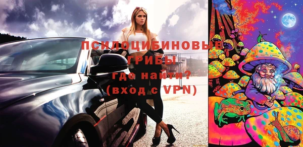 спиды Пересвет