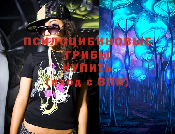 спиды Пересвет