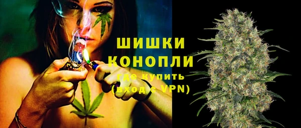 спиды Пересвет