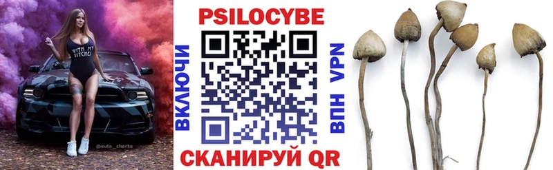 Псилоцибиновые грибы мицелий  Купить  Терек 