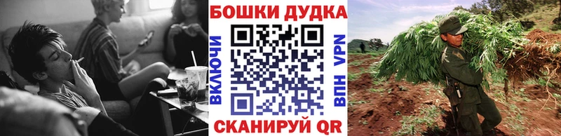 Купить где  Терек  Канабис конопля 